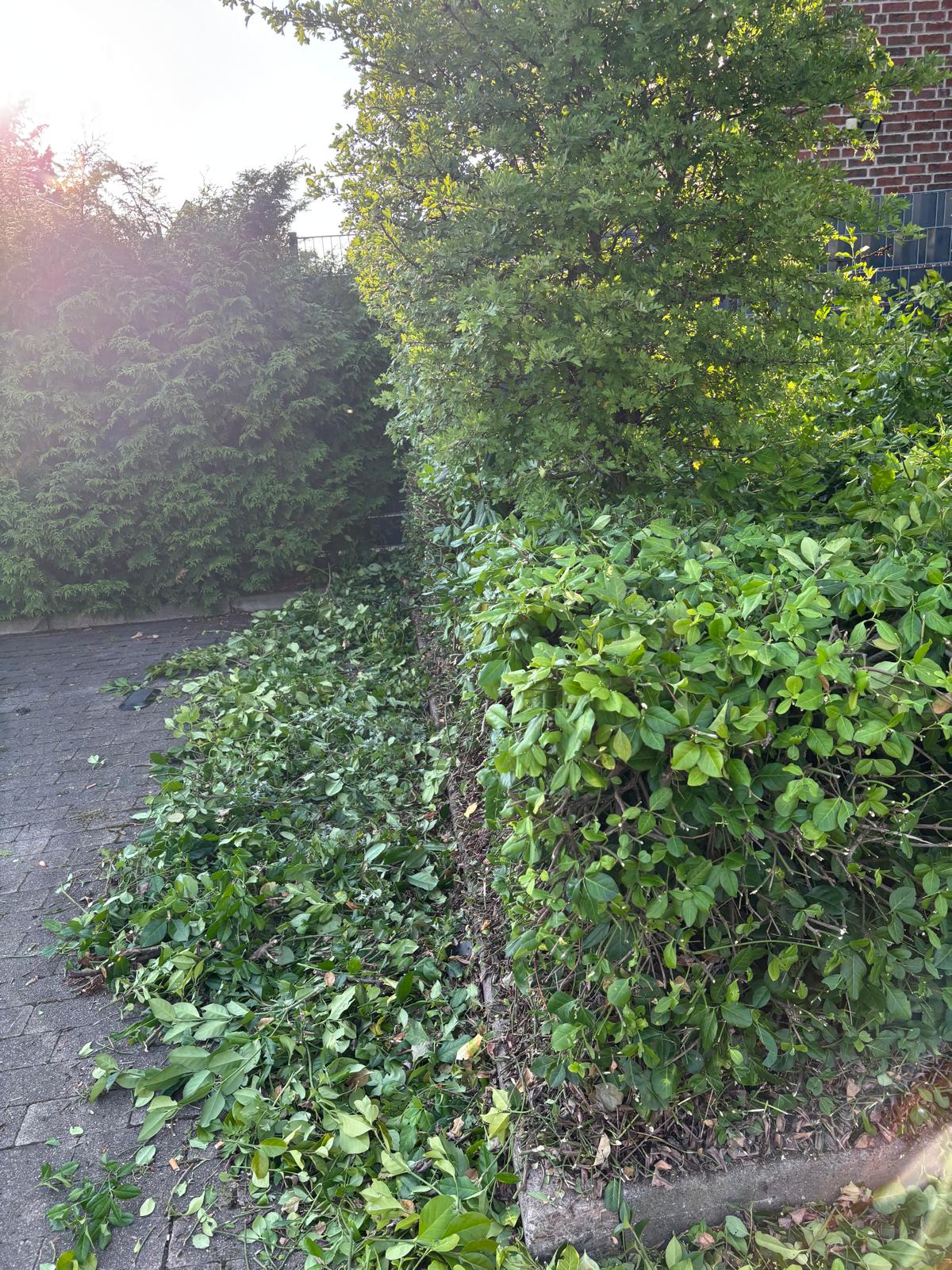 Gartenterrasse