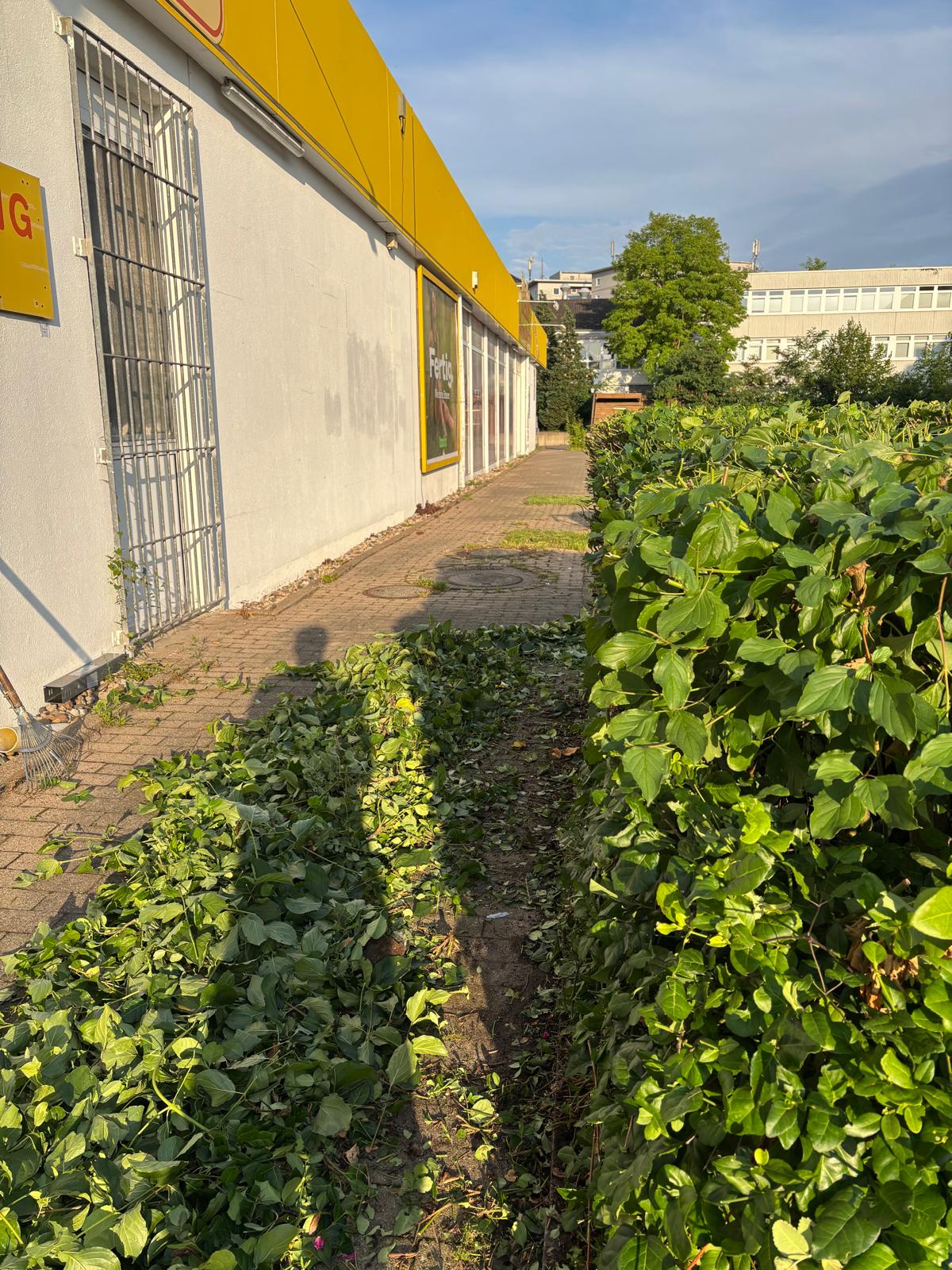 Garten mit Pergola
